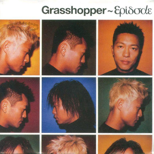 荷兰交大比赛录像回放网站
