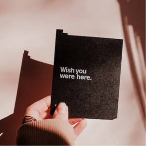 荷兰交大比赛录像回放网站
